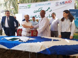 بنك الطعام المصري يوقع اتفاقية تعاون مع ثلاث جمعيات منتجة للتمور في صعيد مصر 3 IMG 20220914 WA0075