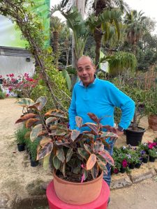 sherdy garden..الإعلامي محمد شردي يقدم أكبر برنامج زراعي متخصص في النباتات وزهور الزينة 1 P 2