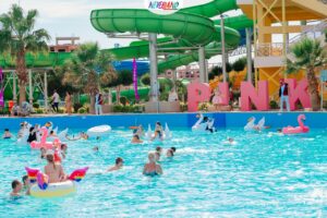 الباتروس تتألق .. كامل أبو علي يزين البحر الأحمر باحتفالية عالمية 1 IMG 20231209 WA0057